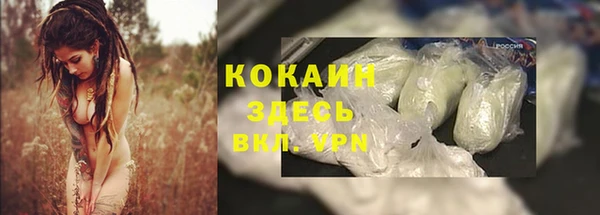 не бодяженный Алзамай