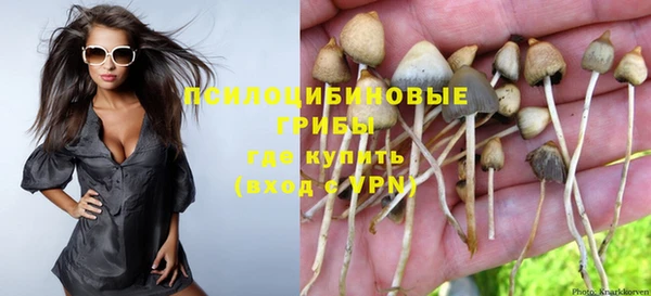 ALPHA PVP Пролетарск