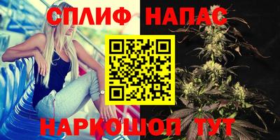 apvp Ливны