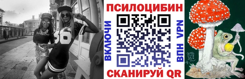 Псилоцибиновые грибы мухоморы  где купить наркоту  Еманжелинск 