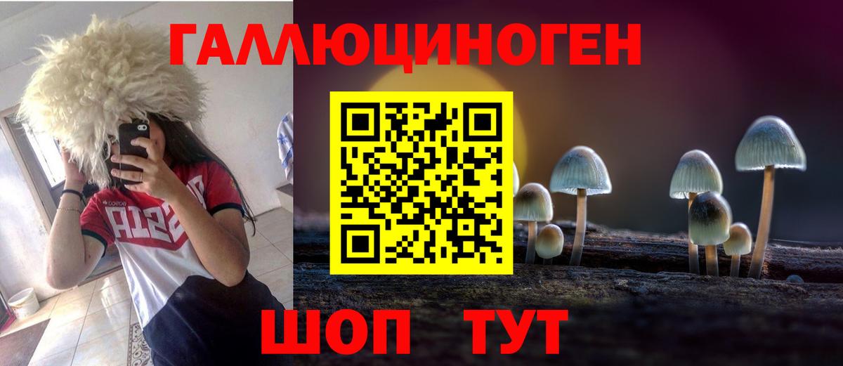 купить закладку  Вход с VPN  Еманжелинск  Псилоцибиновые грибы Psilocybe 