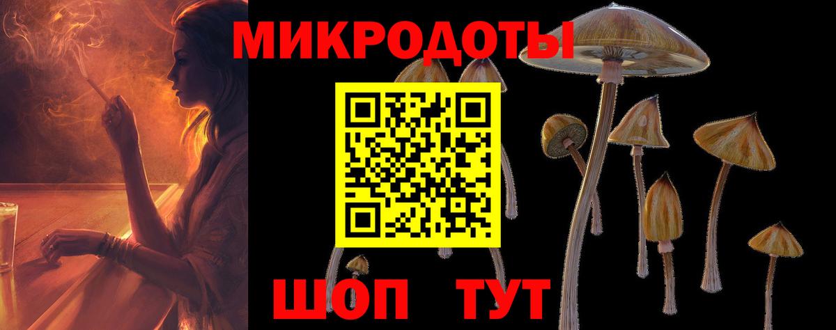 Галлюциногенные грибы Psilocybine cubensis Еманжелинск